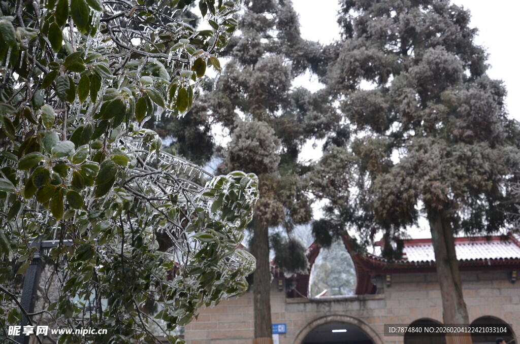 雪覆树木与古建筑景观