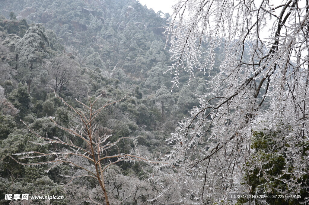 雪覆山林美景