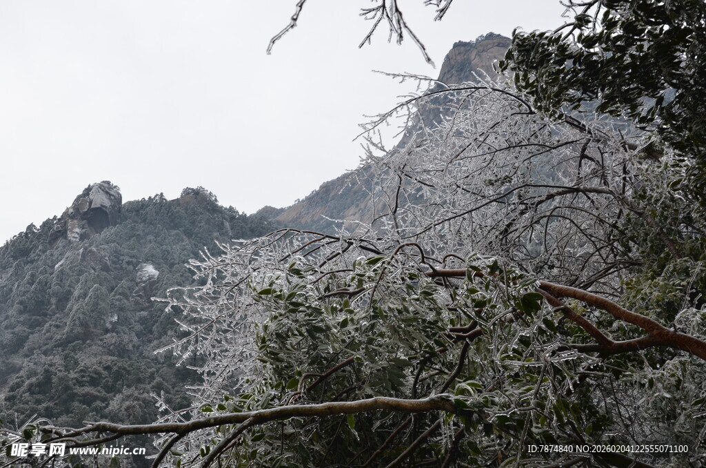 山间景致 树木与山峦相依