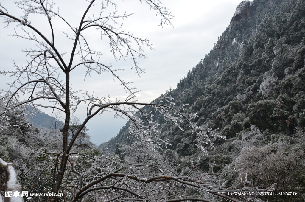冬日雪覆山林景致