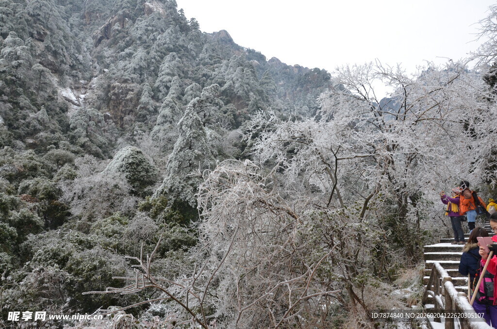雪覆山林栈道游人赏景