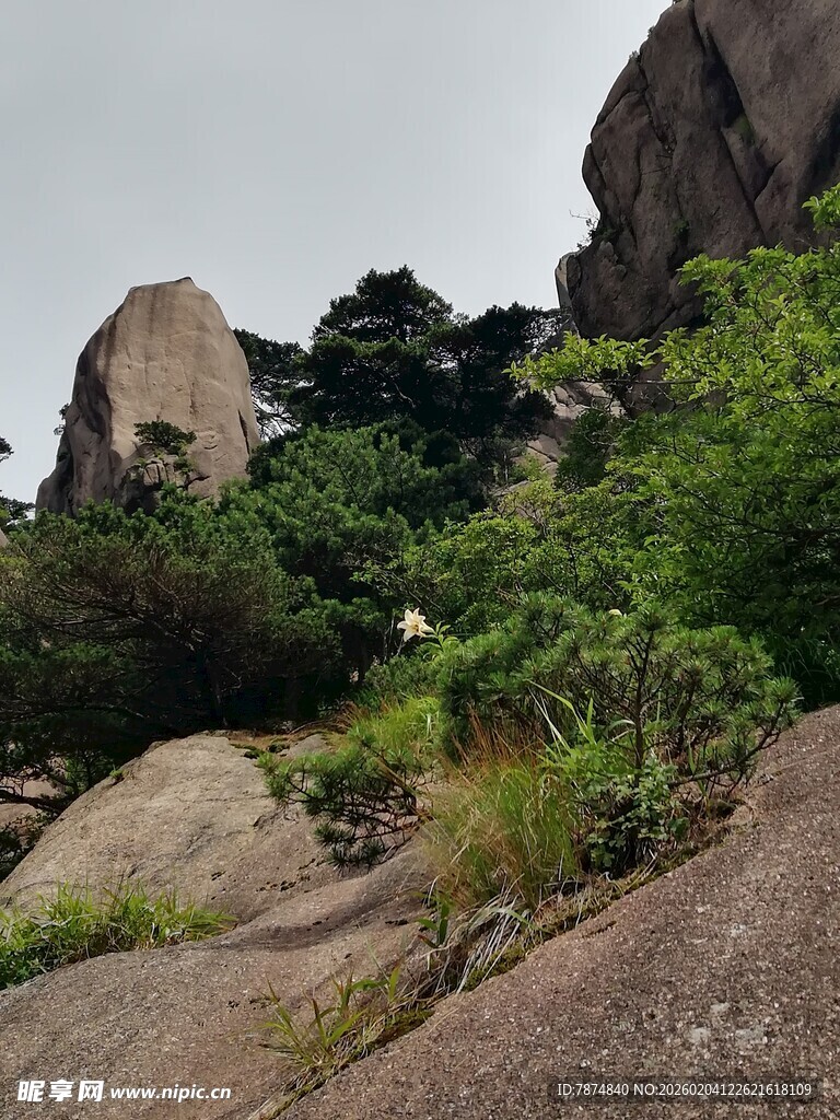 山间嶙峋怪石与葱郁植被