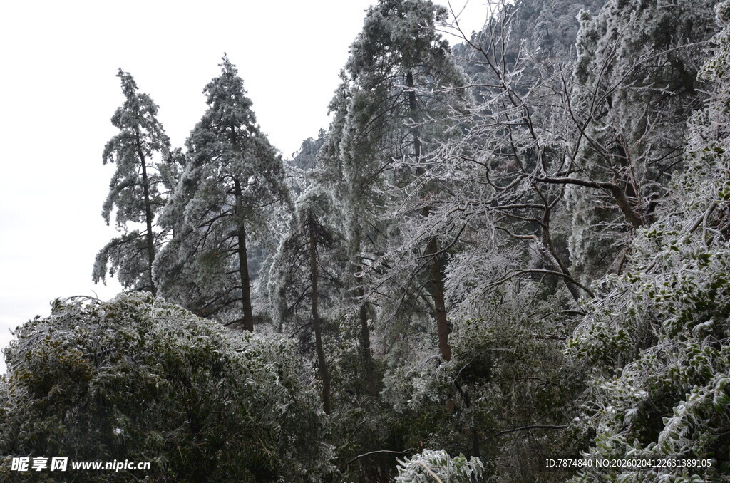 雪覆山林美景