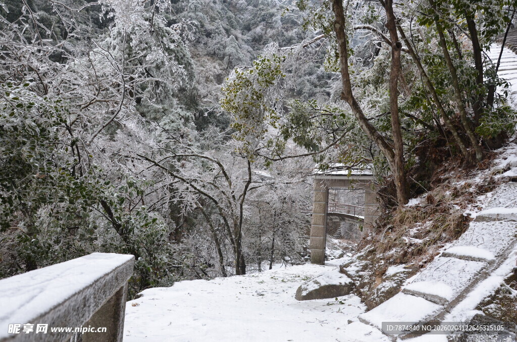 雪覆山林间的静谧小道