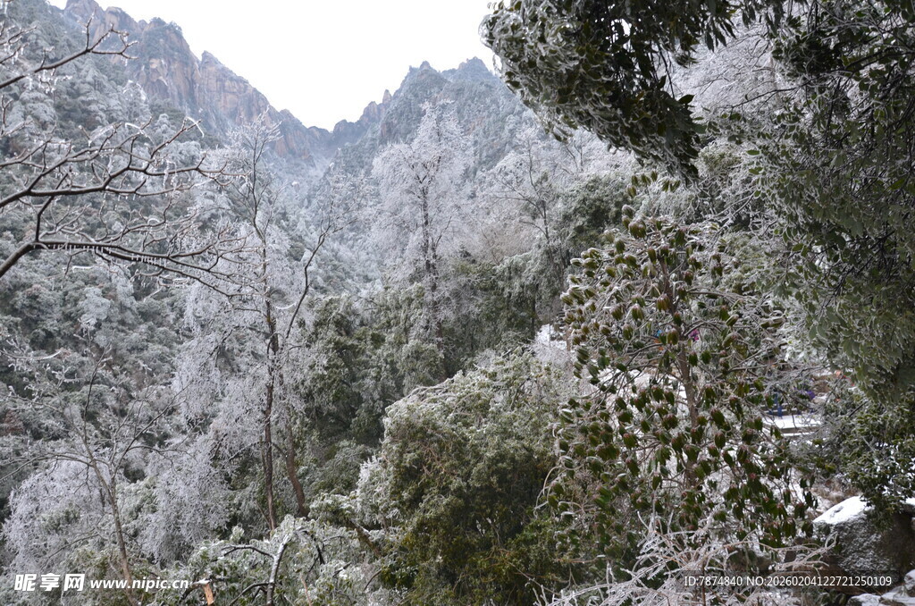 雪覆山林美景