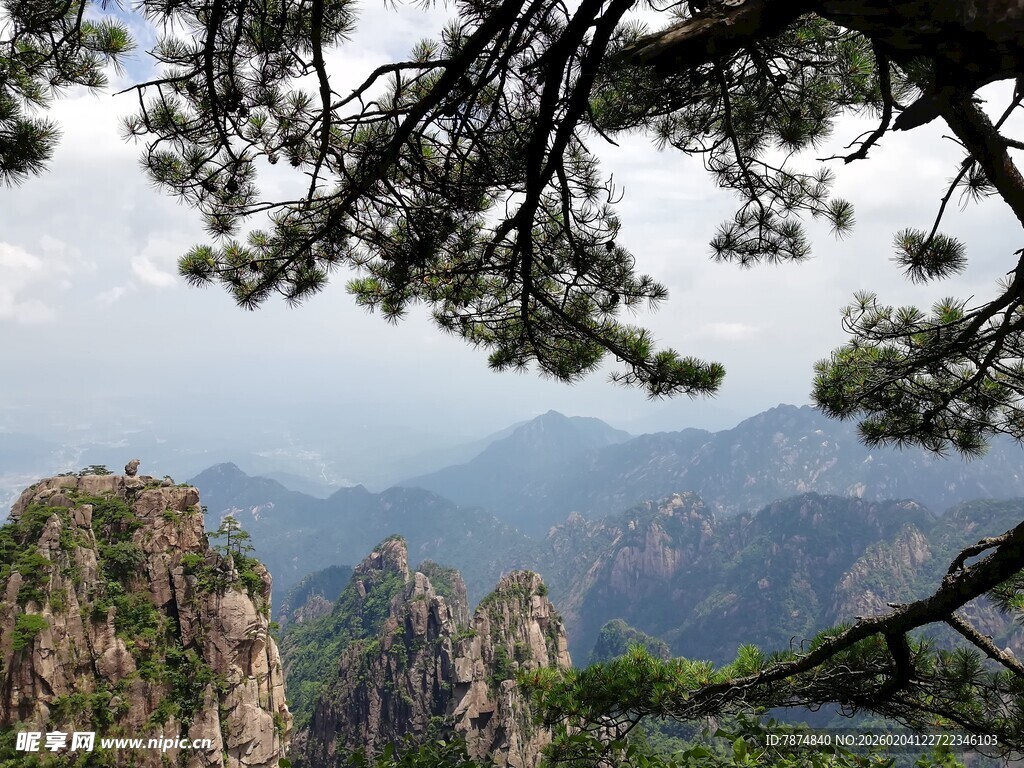 黄山松景下的壮丽山峦