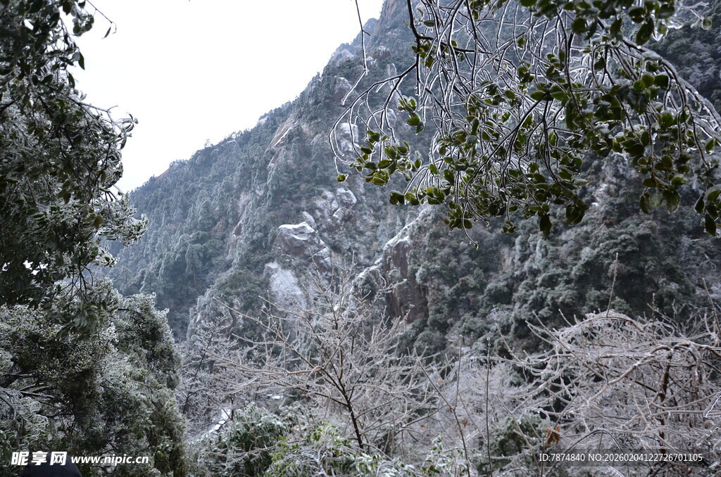 雪覆山林景致