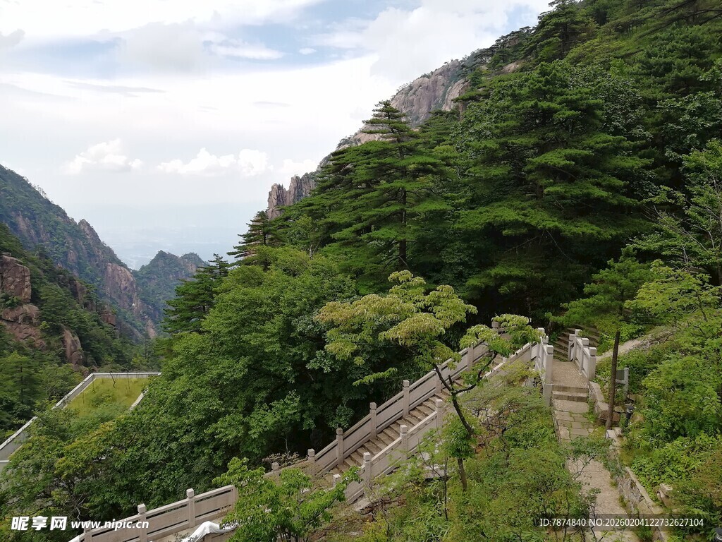 山间绿意盎然的蜿蜒步道