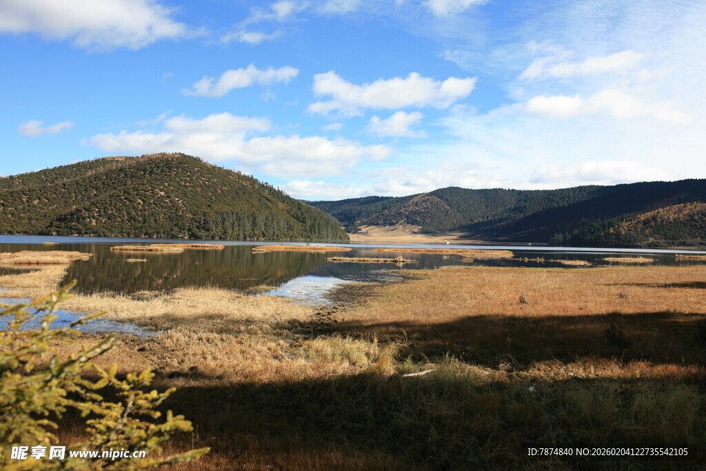 山间开阔湿地风景