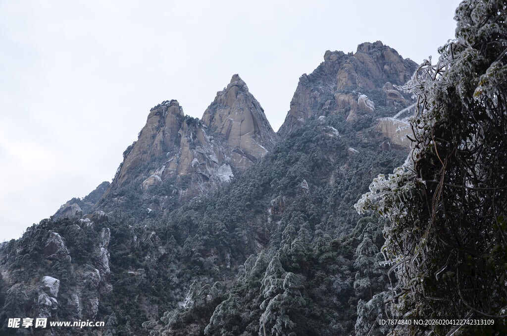 巍峨雪山下的葱郁山峦