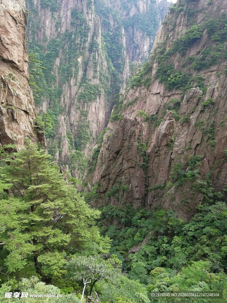 壮丽峡谷间的葱郁山林