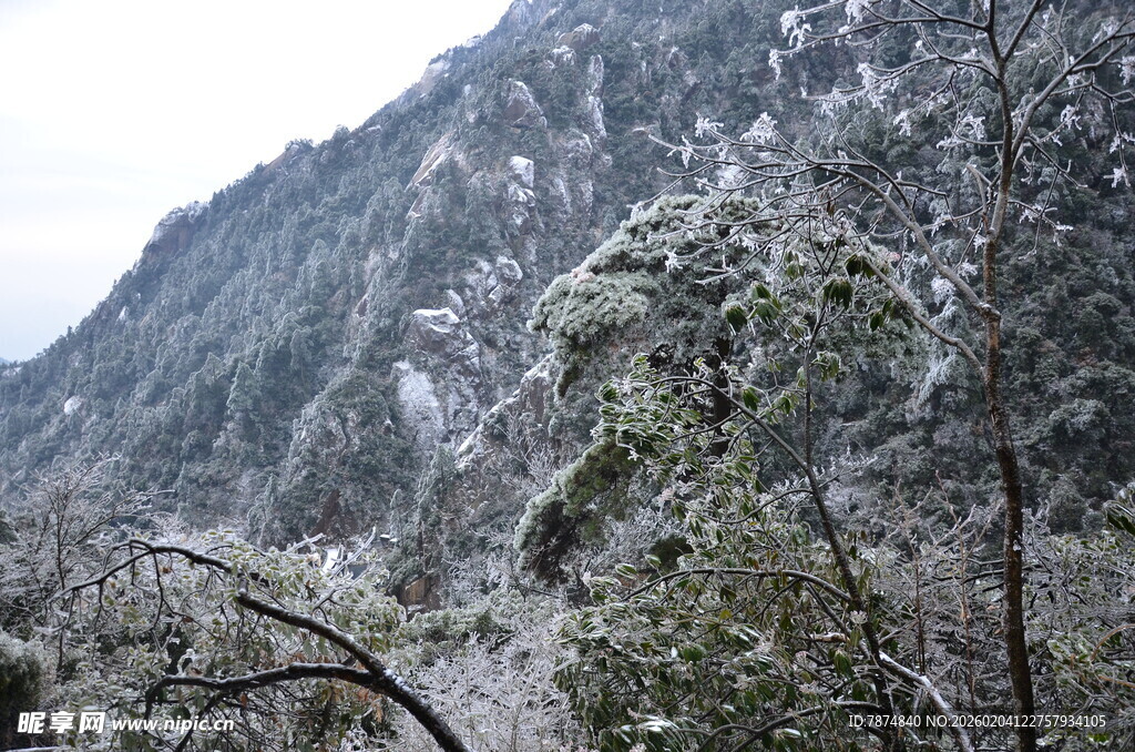 雪覆山林景