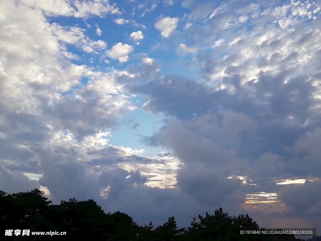 黄昏时分的天空与树林