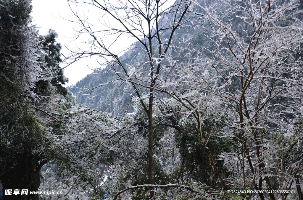 雪覆山林美景