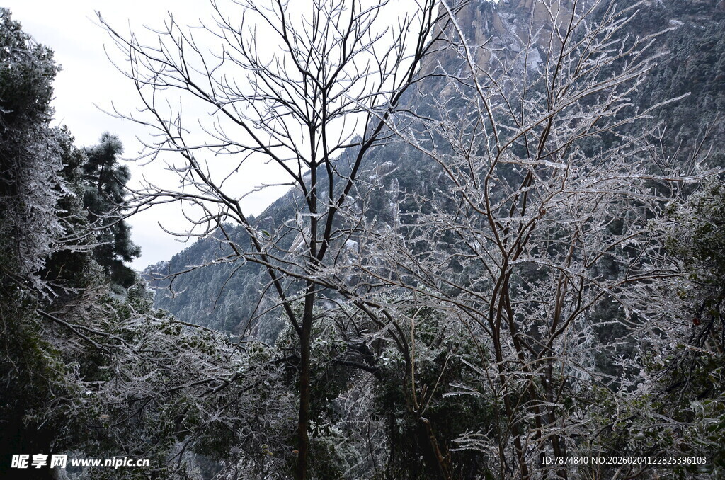 冬日覆雪山林美景
