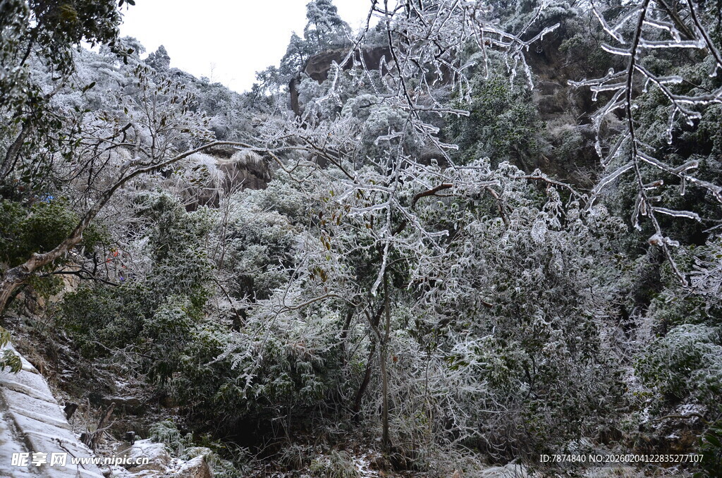 雪覆山林美景