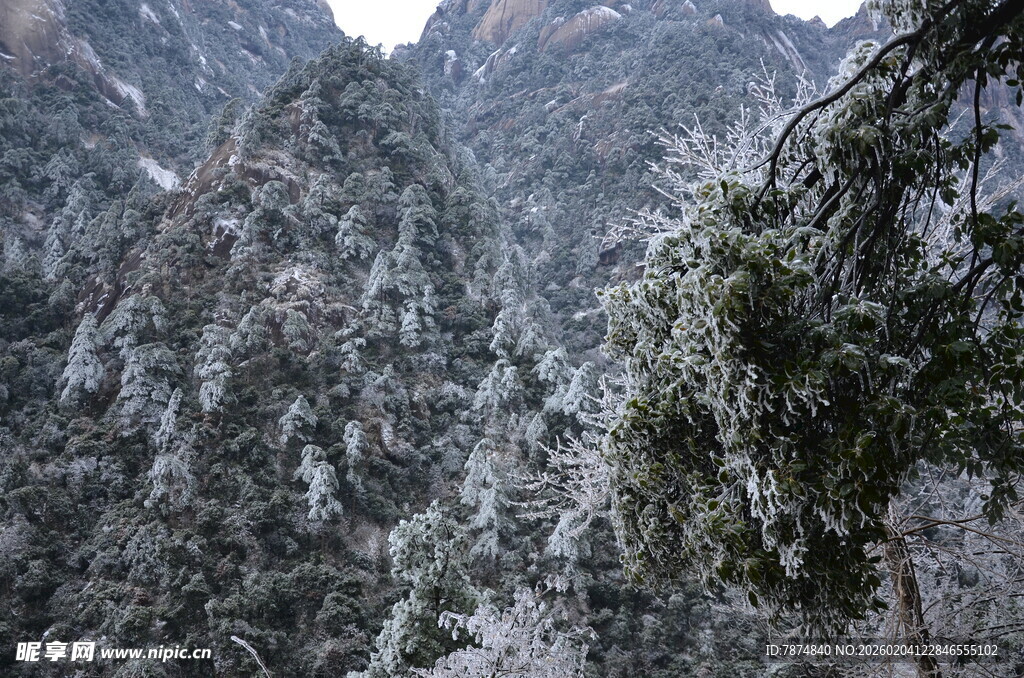 雪覆山峦 苍松点缀美景