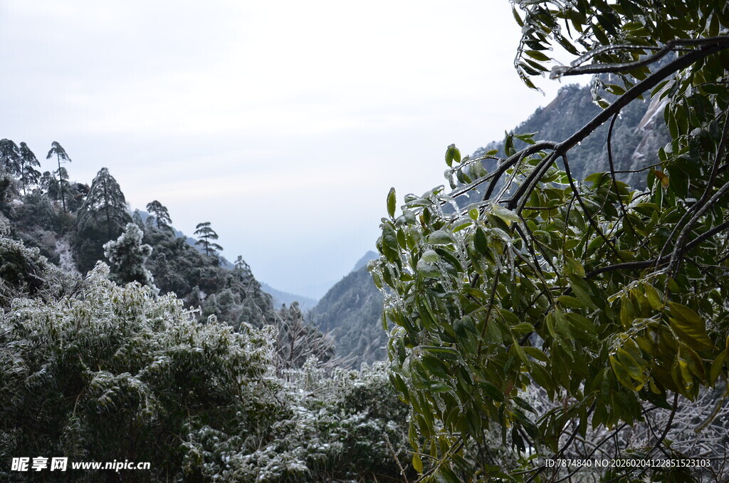 山间覆雪绿植景致