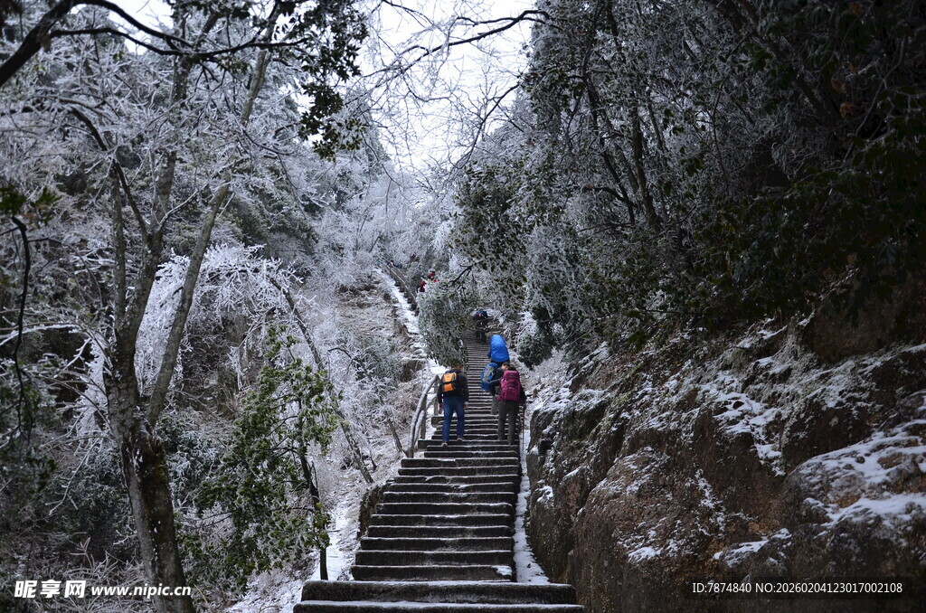 雪后山林中的登山者