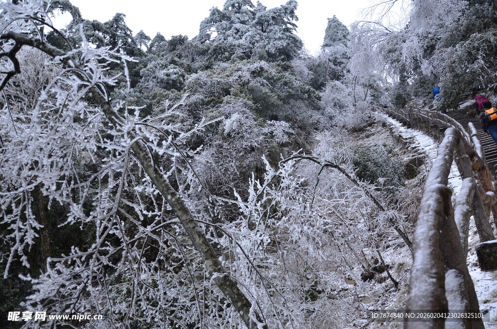 冬日雪覆山林栈道美景
