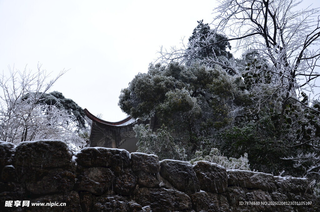 覆雪石墙旁的葱郁树木