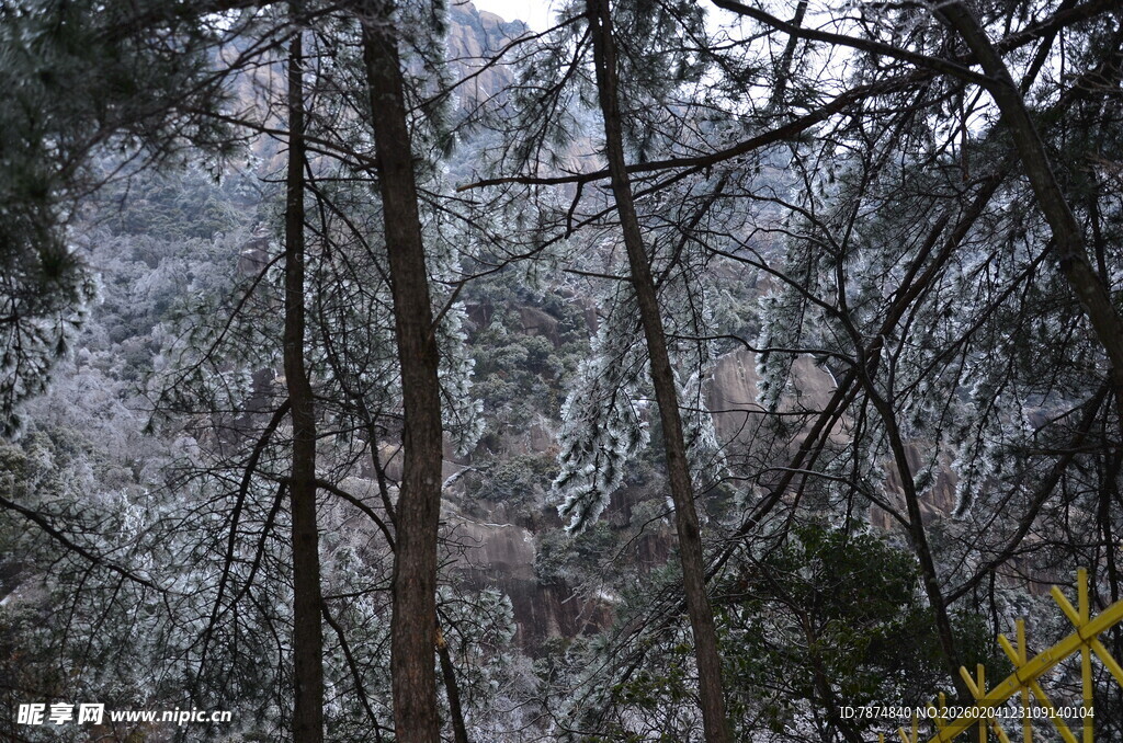 冬日雪覆山林美景