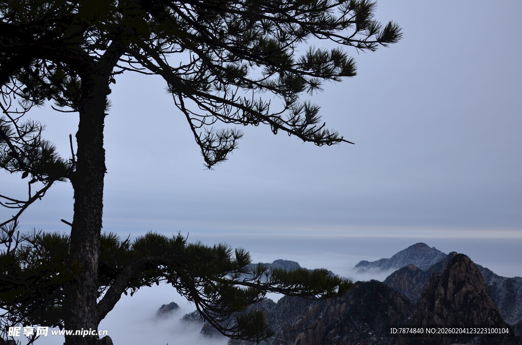 山间松景 云雾缭绕之美