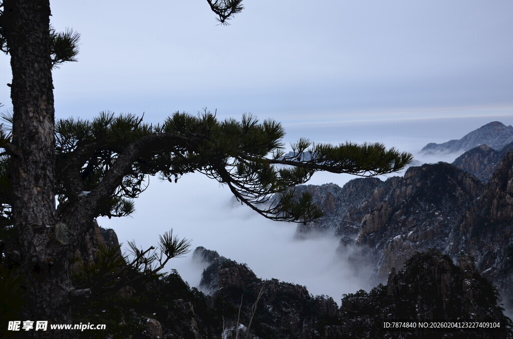 黄山松景下的云海奇观
