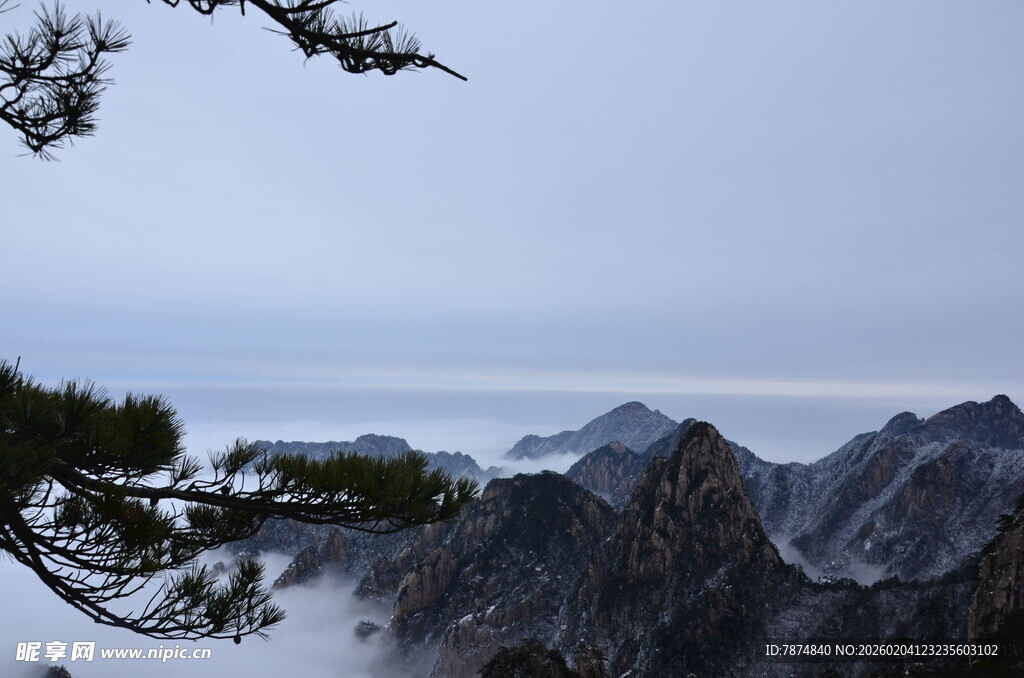 雪覆山峦间的苍松美景