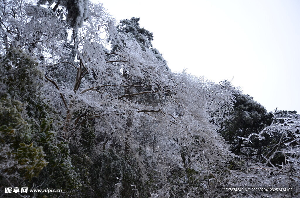 山间雾凇美景