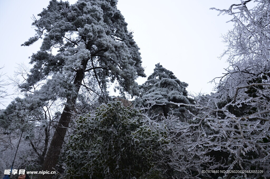 雪覆山林美景