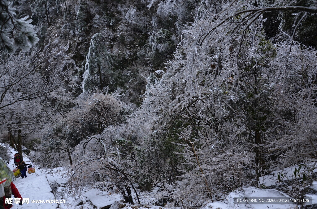 冬日雪覆山林美景