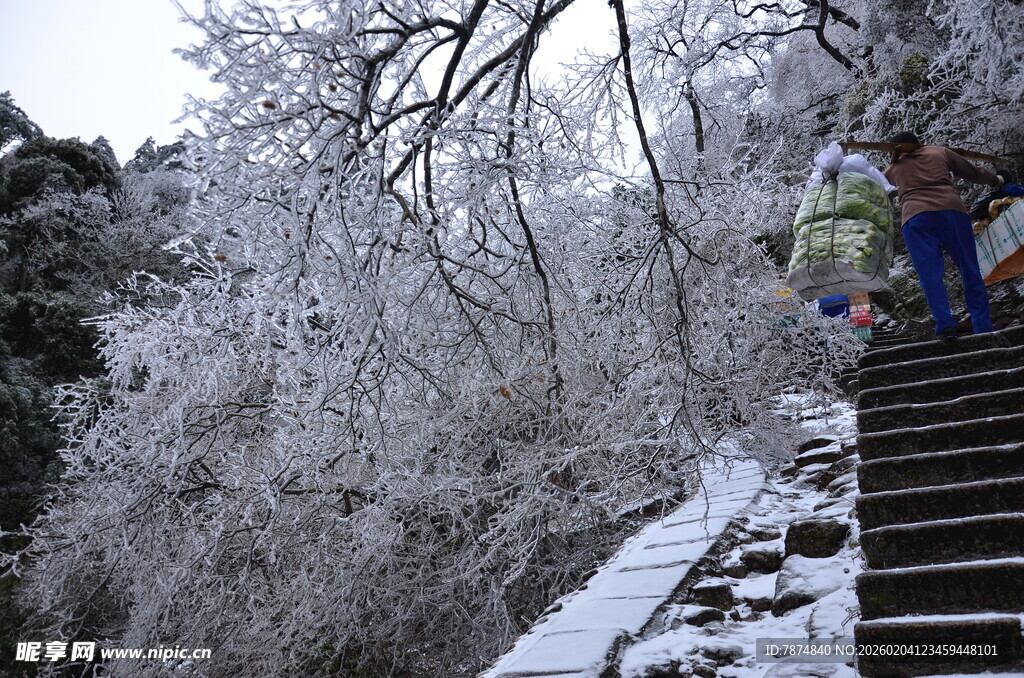 雪覆山林中的登山步道