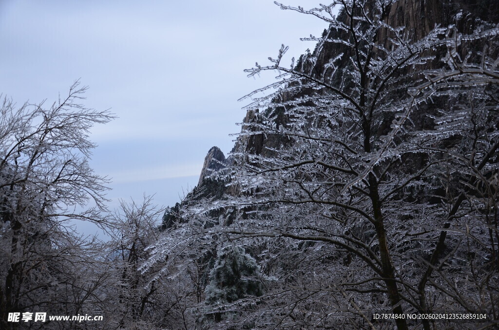 雪覆山林景色