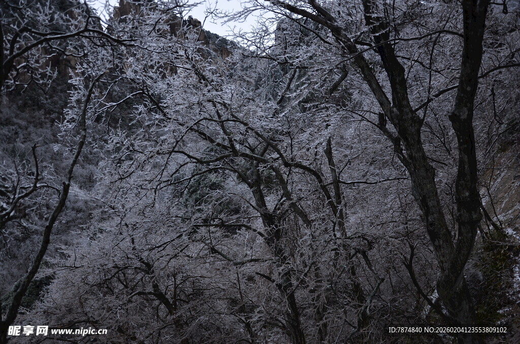 雪覆山林 山景清幽