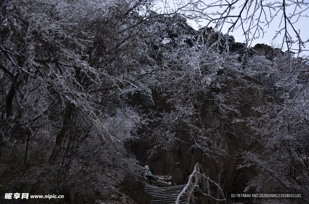 冬日覆雪山林景象
