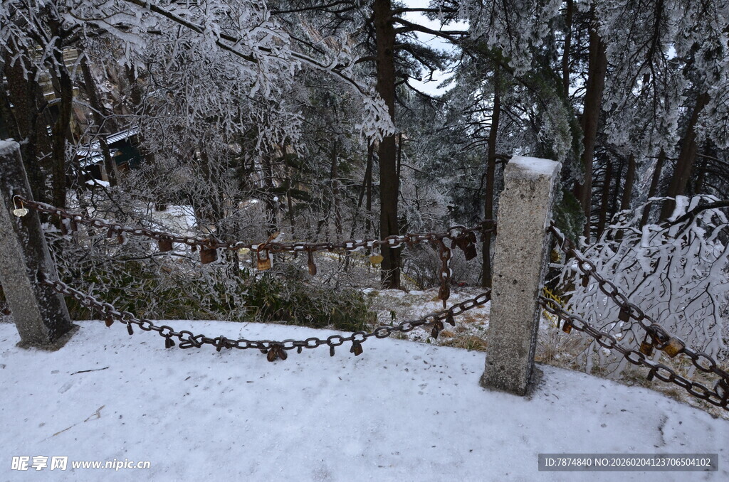 雪覆树林中的古老墓碑