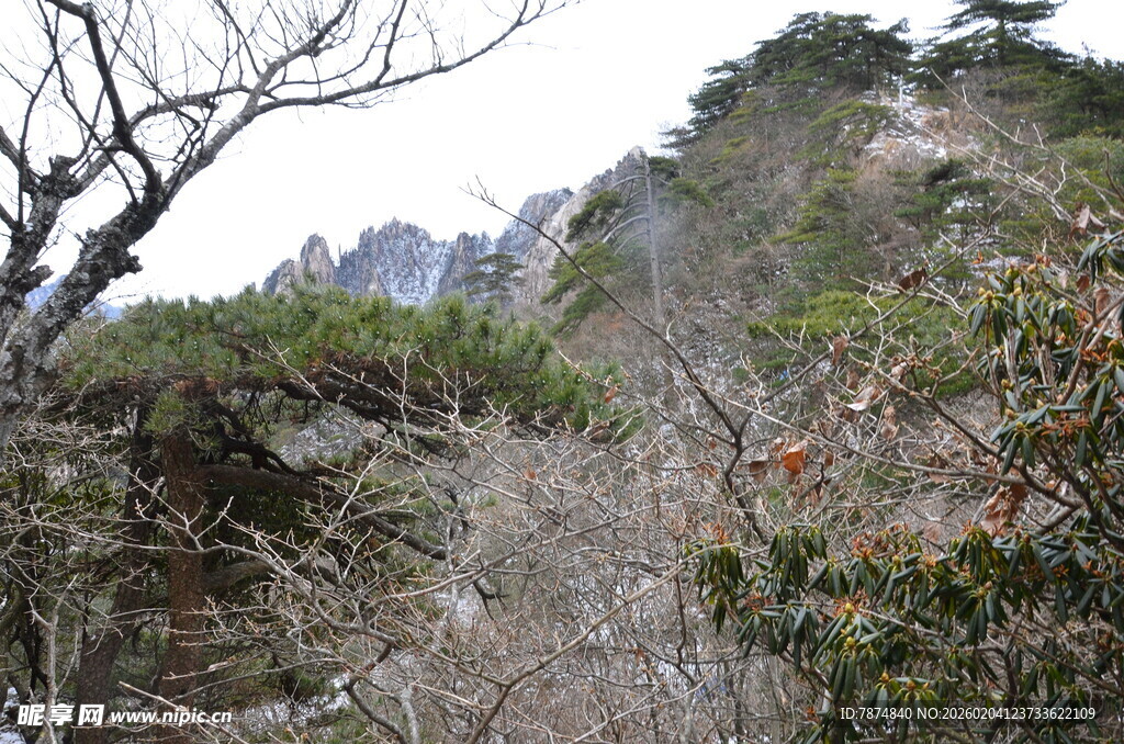 山间植被与远处山峦景色