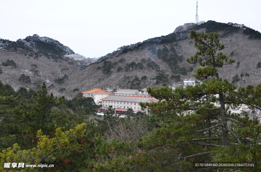 山间景致 绿树环绕建筑