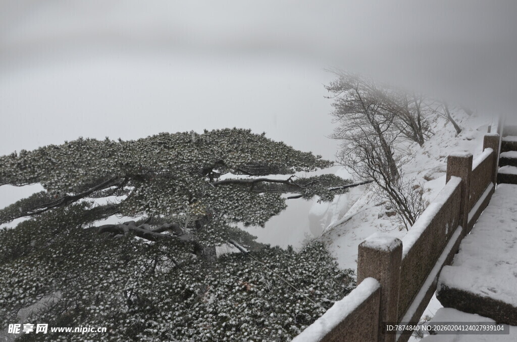 雪覆山林间的静谧景致