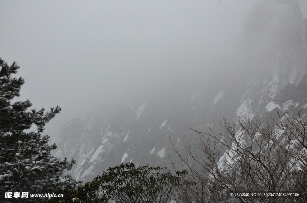 雾中朦胧山林景象