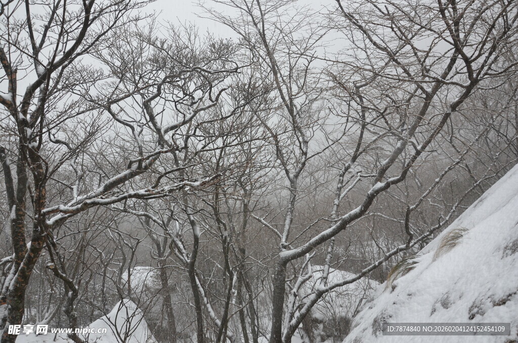 雪覆山林景