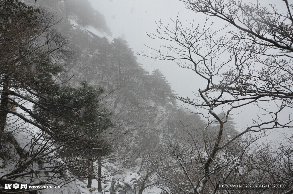 山间雪景中的树木景观