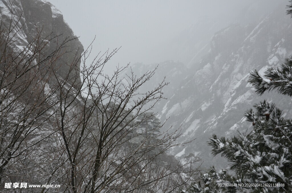 雪覆山峦 树木披银装