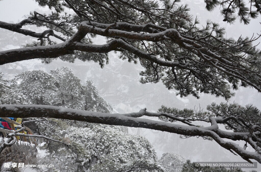 雪覆松枝的山间景致