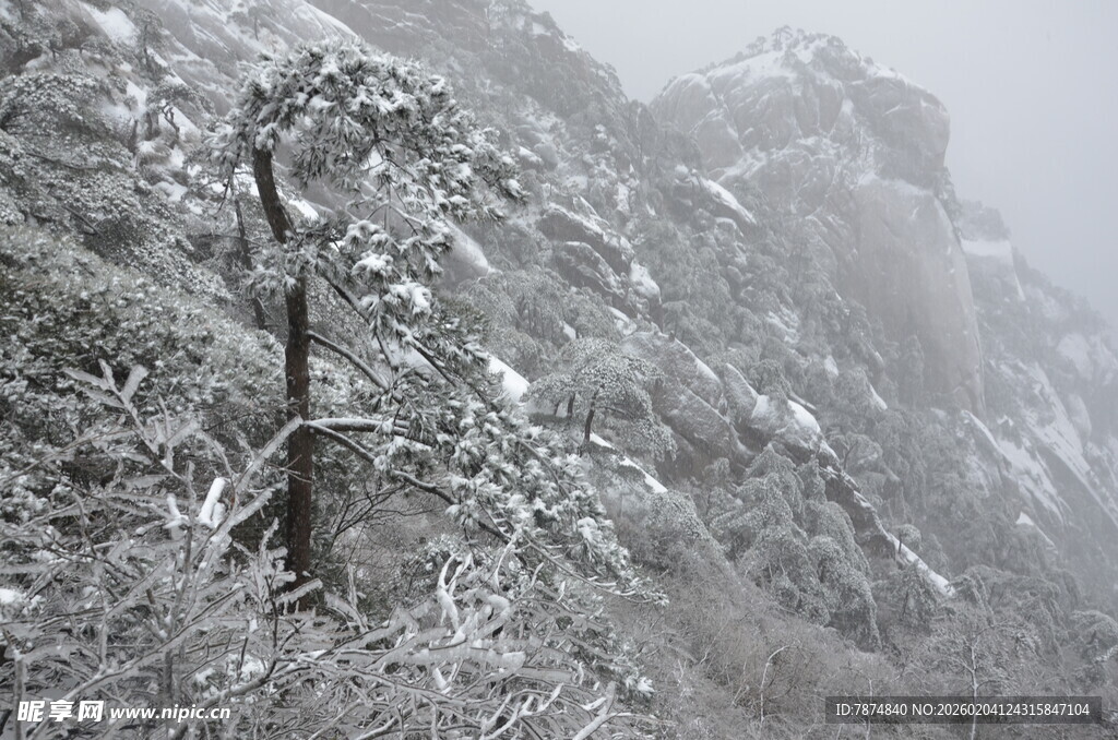 雪覆山林景