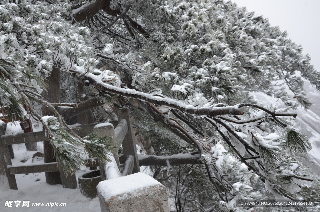 雪覆古亭 冬日静谧景致