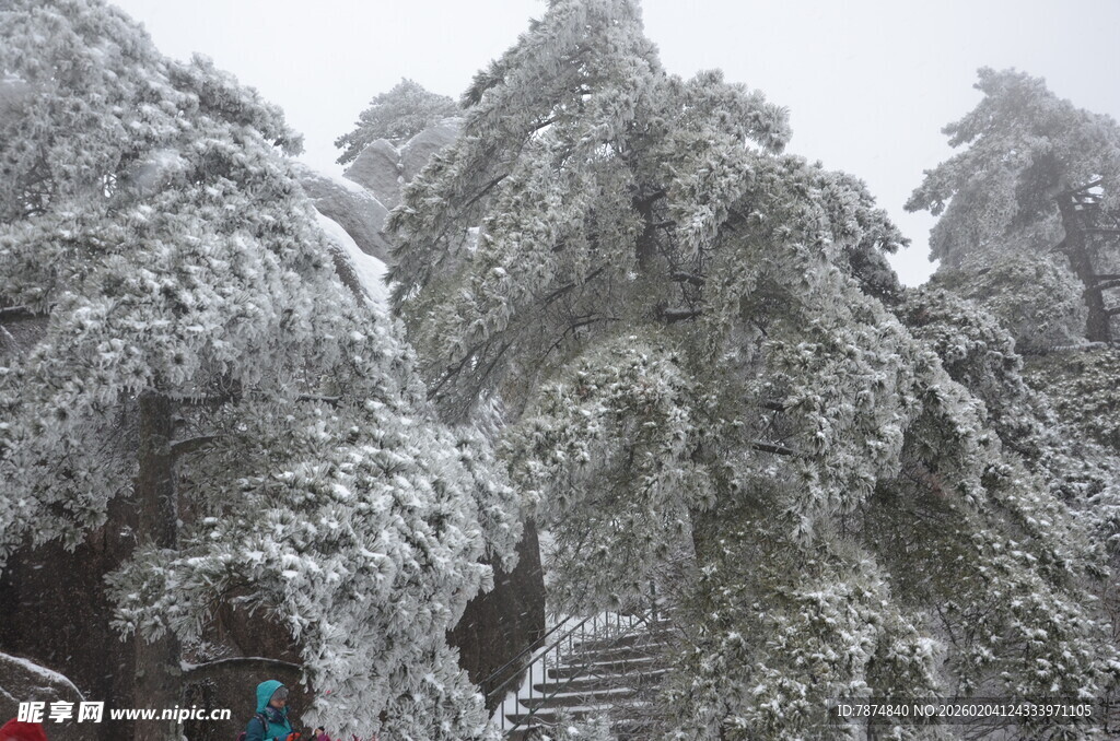 雪覆山林美景