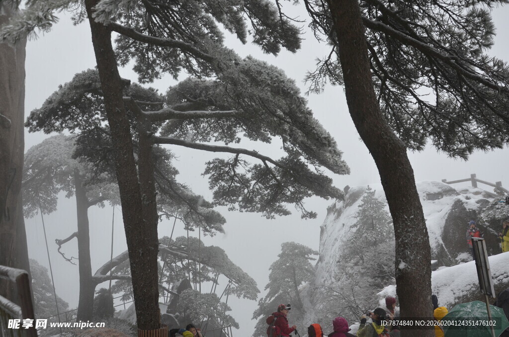 雪中山林下的人群景象