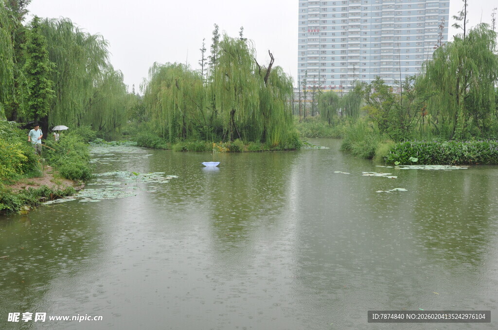 河畔绿树环绕的静谧水域